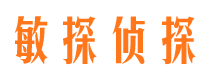 新宁市侦探调查公司